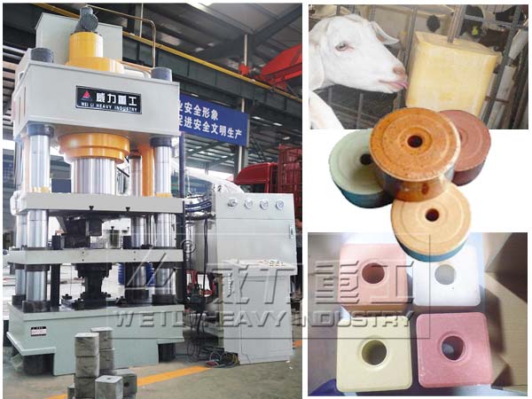 牛羊舔磚四柱液壓機